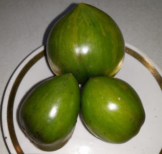 Гном Лунный Камень